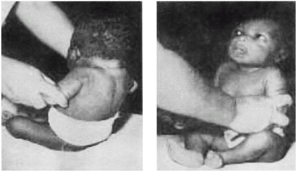 Иллюстрация к книге — Эректус бродит между нами. Покорение белой расы [p111.jpg]