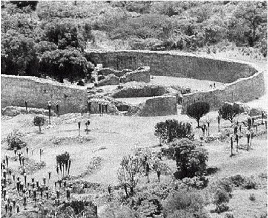 Иллюстрация к книге — Эректус бродит между нами. Покорение белой расы [p153.jpg]