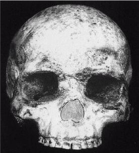 Иллюстрация к книге — Эректус бродит между нами. Покорение белой расы [p1710.jpg]