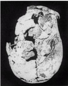 Иллюстрация к книге — Эректус бродит между нами. Покорение белой расы [p172.jpg]