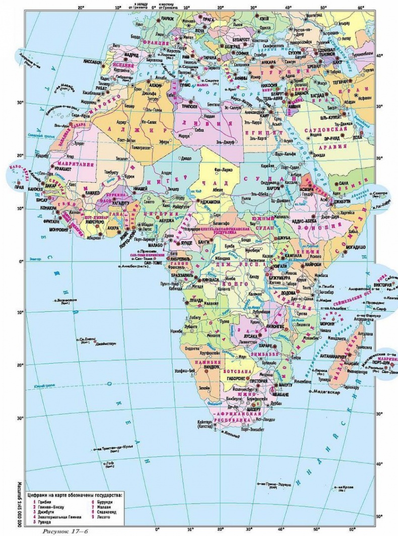 Иллюстрация к книге — Эректус бродит между нами. Покорение белой расы [p176.jpg]