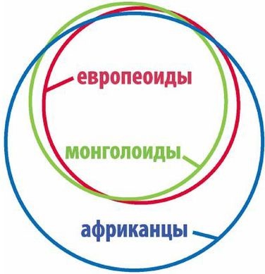 Иллюстрация к книге — Эректус бродит между нами. Покорение белой расы [p192.jpg]