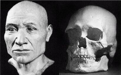 Иллюстрация к книге — Эректус бродит между нами. Покорение белой расы [p206.jpg]