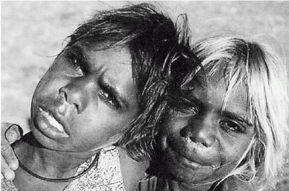 Иллюстрация к книге — Эректус бродит между нами. Покорение белой расы [p225.jpg]