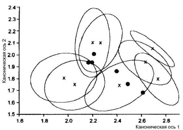 Иллюстрация к книге — Эректус бродит между нами. Покорение белой расы [p2310.jpg]