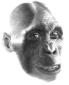 Иллюстрация к книге — Эректус бродит между нами. Покорение белой расы [p234.jpg]