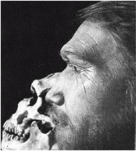 Иллюстрация к книге — Эректус бродит между нами. Покорение белой расы [p2513.jpg]