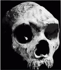 Иллюстрация к книге — Эректус бродит между нами. Покорение белой расы [p26.jpg]