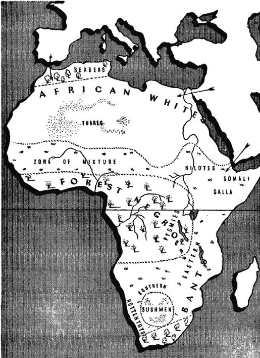 Иллюстрация к книге — Эректус бродит между нами. Покорение белой расы [p262.jpg]