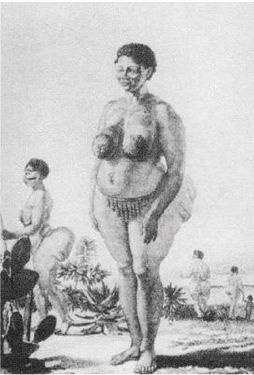 Иллюстрация к книге — Эректус бродит между нами. Покорение белой расы [p265.jpg]