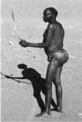 Иллюстрация к книге — Эректус бродит между нами. Покорение белой расы [p266.jpg]