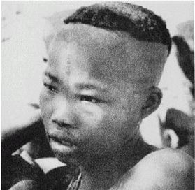 Иллюстрация к книге — Эректус бродит между нами. Покорение белой расы [p267.jpg]