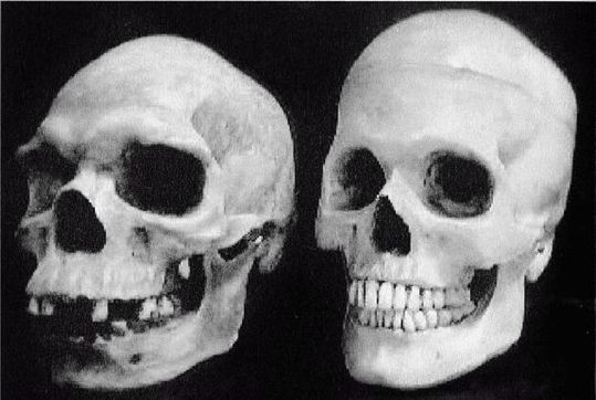 Иллюстрация к книге — Эректус бродит между нами. Покорение белой расы [p275.jpg]