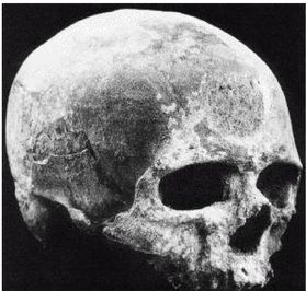 Иллюстрация к книге — Эректус бродит между нами. Покорение белой расы [p28.jpg]