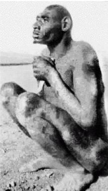 Иллюстрация к книге — Эректус бродит между нами. Покорение белой расы [p31.jpg]