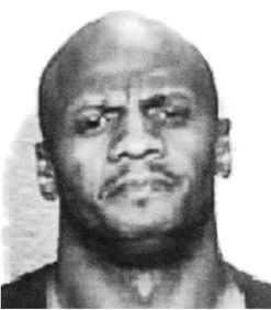 Иллюстрация к книге — Эректус бродит между нами. Покорение белой расы [p911.jpg]