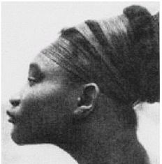 Иллюстрация к книге — Эректус бродит между нами. Покорение белой расы [p926.jpg]