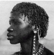 Иллюстрация к книге — Эректус бродит между нами. Покорение белой расы [pii1.jpg]