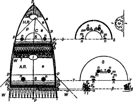 Иллюстрация к книге — Тайны военной космонавтики [i_007.jpg]