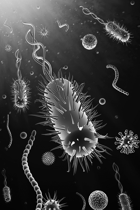 Иллюстрация к книге — Происхождение всего. От Большого взрыва до человеческой цивилизации [_12.jpg]