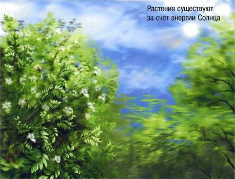 Иллюстрация к книге — Космос. Школьный путеводитель [i_015.jpg]