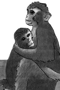 Иллюстрация к книге — Истоки морали. В поисках человеческого у приматов [i_013.jpg]