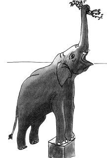 Иллюстрация к книге — Истоки морали. В поисках человеческого у приматов [i_014.jpg]