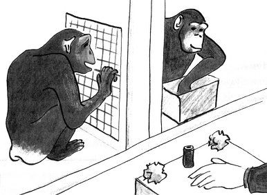 Иллюстрация к книге — Истоки морали. В поисках человеческого у приматов [i_015.jpg]