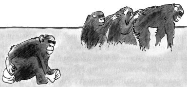 Иллюстрация к книге — Истоки морали. В поисках человеческого у приматов [i_024.jpg]