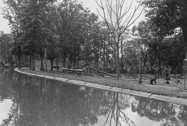 Иллюстрация к книге — Политика у шимпанзе. Власть и секс у приматов [i_006.jpg]