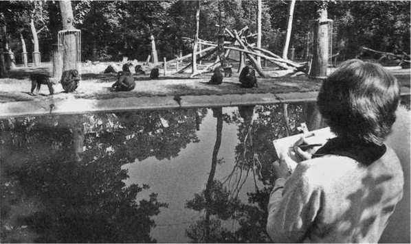 Иллюстрация к книге — Политика у шимпанзе. Власть и секс у приматов [i_013.jpg]