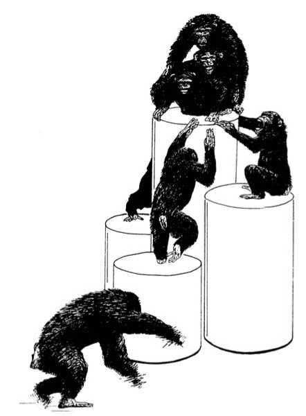 Иллюстрация к книге — Политика у шимпанзе. Власть и секс у приматов [i_036.jpg]