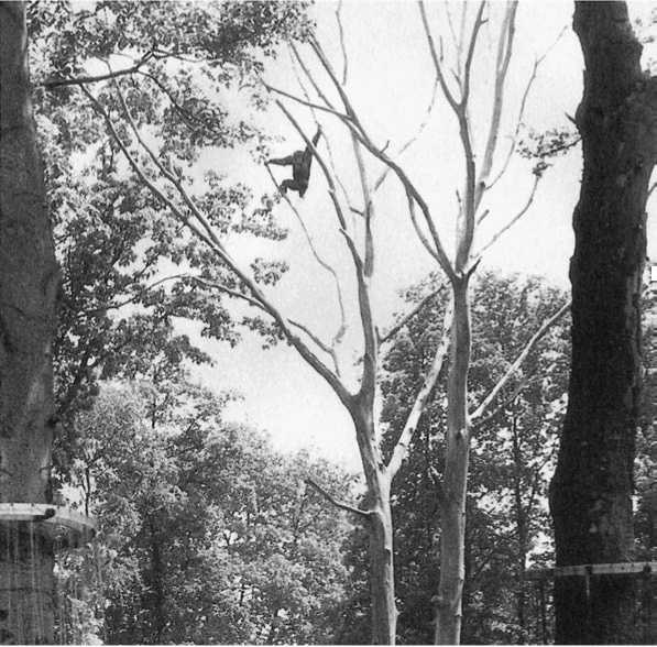 Иллюстрация к книге — Политика у шимпанзе. Власть и секс у приматов [i_108.jpg]