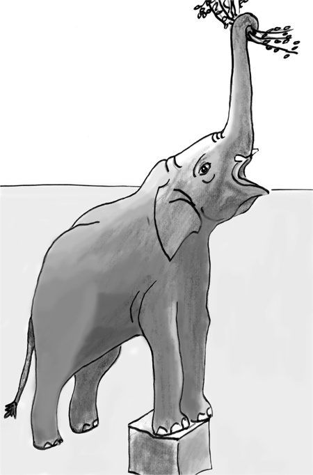 Иллюстрация к книге — Достаточно ли мы умны, чтобы судить об уме животных? [i_002.jpg]