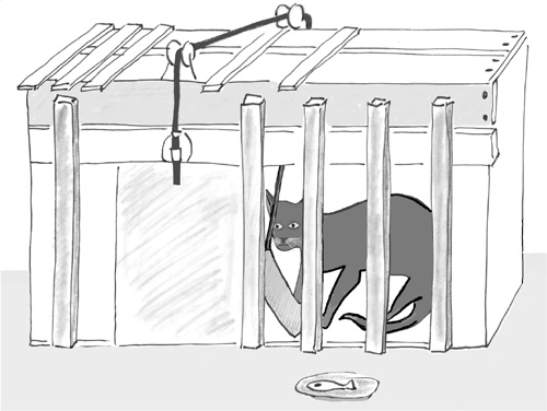 Иллюстрация к книге — Достаточно ли мы умны, чтобы судить об уме животных? [i_003.jpg]