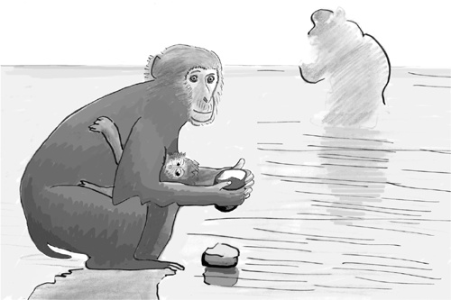 Иллюстрация к книге — Достаточно ли мы умны, чтобы судить об уме животных? [i_008.jpg]