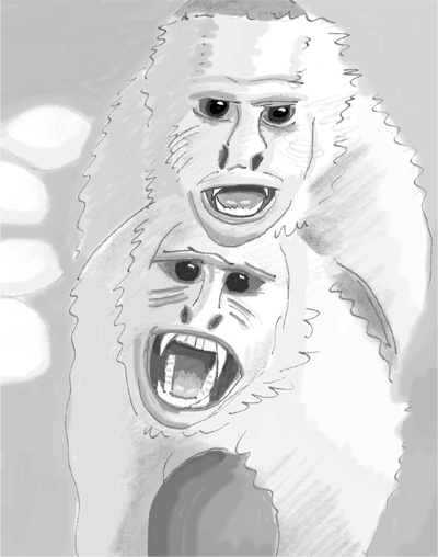 Иллюстрация к книге — Достаточно ли мы умны, чтобы судить об уме животных? [i_022.jpg]