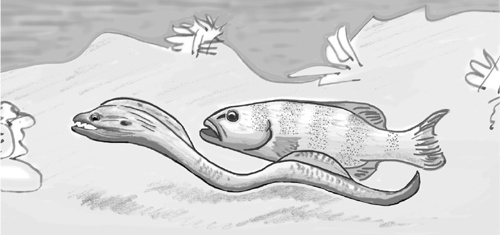 Иллюстрация к книге — Достаточно ли мы умны, чтобы судить об уме животных? [i_025.jpg]