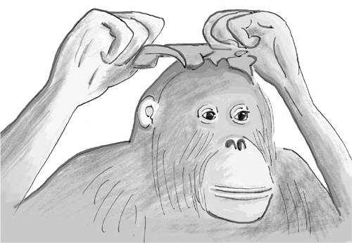 Иллюстрация к книге — Достаточно ли мы умны, чтобы судить об уме животных? [i_029.jpg]