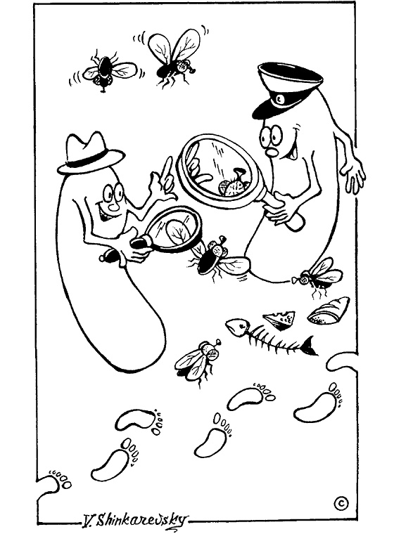 Иллюстрация к книге — Популярно о микробиологии [i_014.jpg]