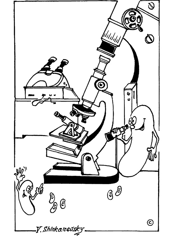 Иллюстрация к книге — Популярно о микробиологии [i_023.jpg]