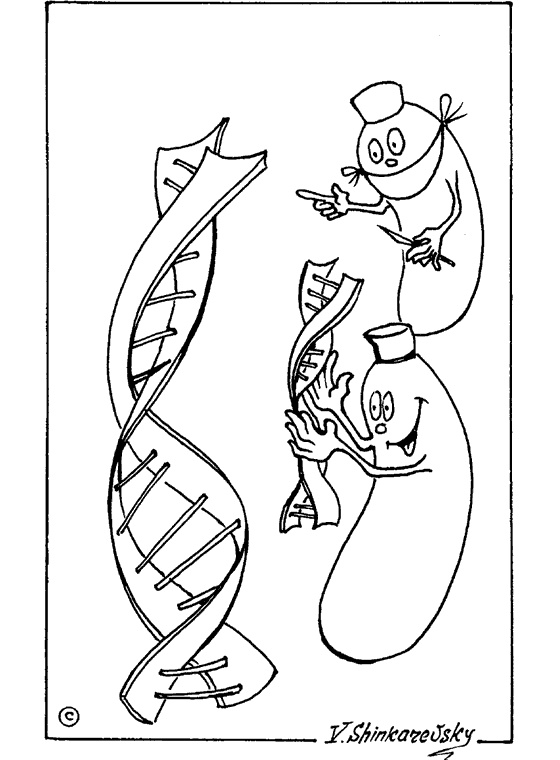 Иллюстрация к книге — Популярно о микробиологии [i_024.jpg]