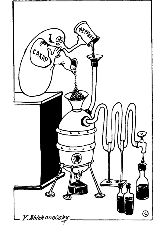 Иллюстрация к книге — Популярно о микробиологии [i_025.jpg]
