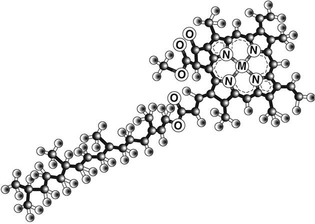 Иллюстрация к книге — Жизнь на грани. Ваша первая книга о квантовой биологии [i_012.jpg]