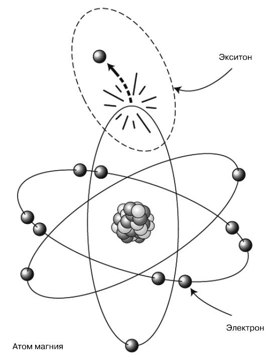 Иллюстрация к книге — Жизнь на грани. Ваша первая книга о квантовой биологии [i_013.jpg]