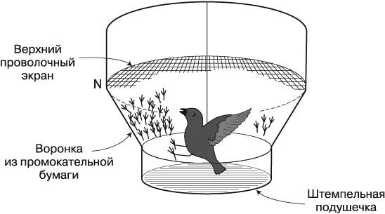 Иллюстрация к книге — Жизнь на грани. Ваша первая книга о квантовой биологии [i_021.jpg]