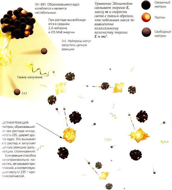 Иллюстрация к книге — Мир в ореховой скорлупке [i_016.jpg]