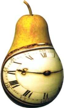 Иллюстрация к книге — Мир в ореховой скорлупке [i_027.jpg]