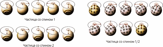 Иллюстрация к книге — Мир в ореховой скорлупке [i_047.jpg]