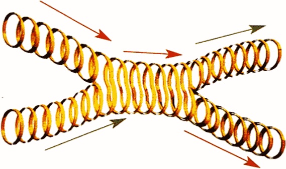 Иллюстрация к книге — Мир в ореховой скорлупке [i_052.jpg]